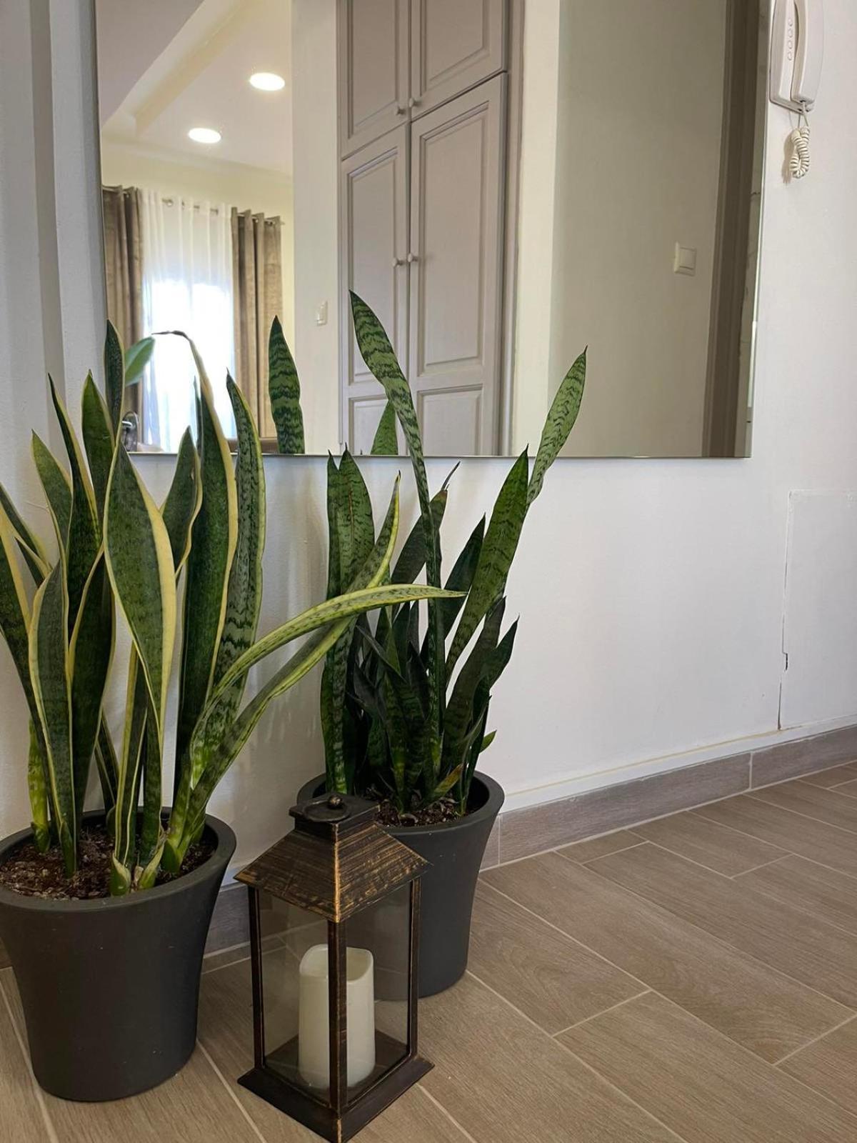 Ferienwohnung Andromachi 2 Volos Exterior foto